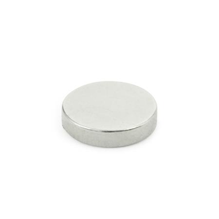 Otto Ganter Raw Magnet Disc Shaped without Bore, GN 55.2